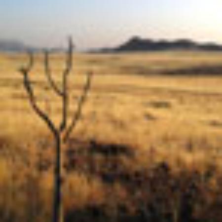 Il Mio Fornaio Giacinti